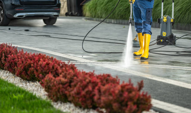 Best Driveway Pressure Washing  in USA